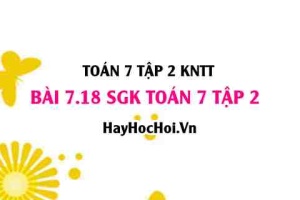 Bài 7.18 SGK Toán 7 tập 2 Kết nối tri thức